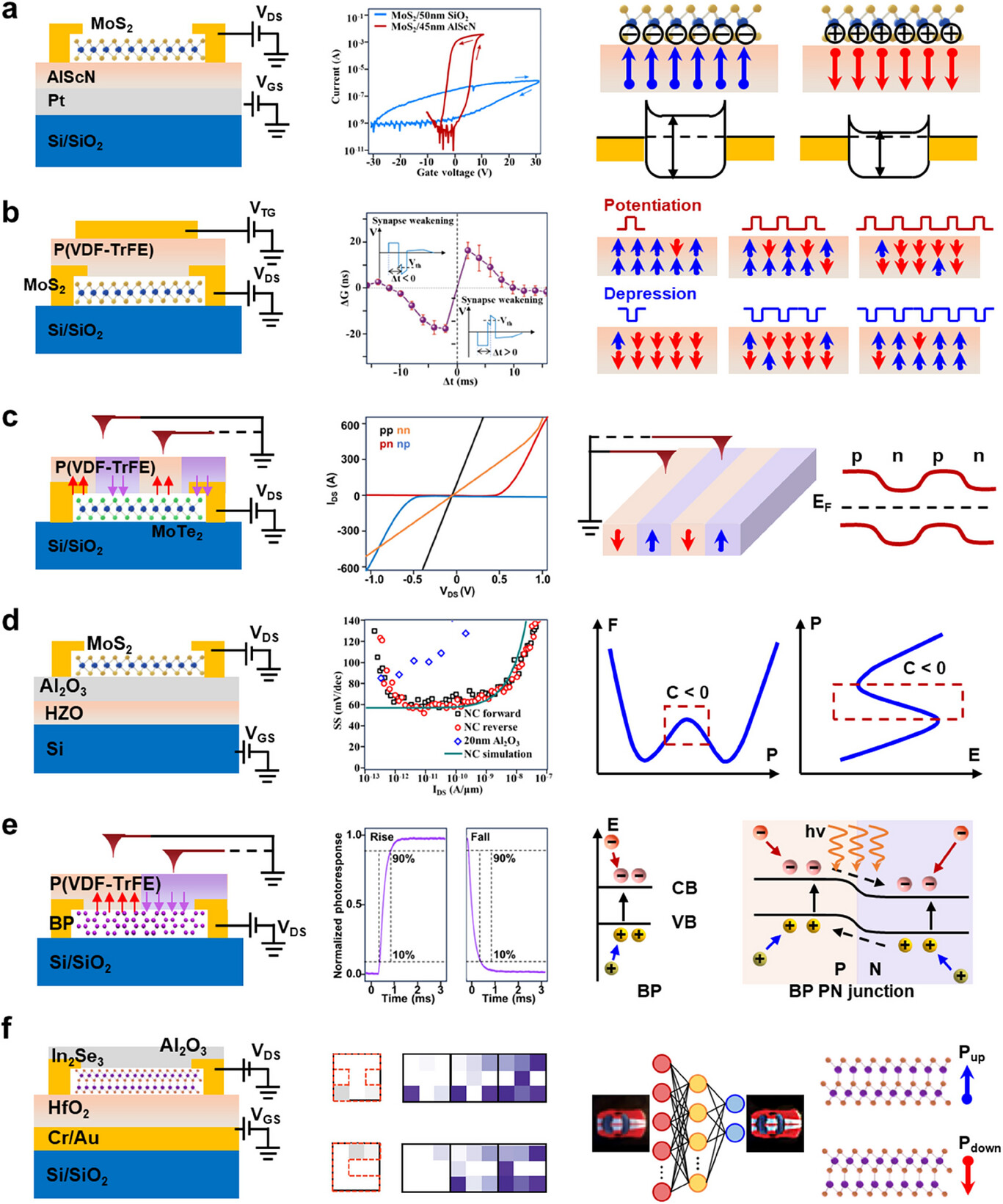 adma71382-fig-0002-m.jpg
