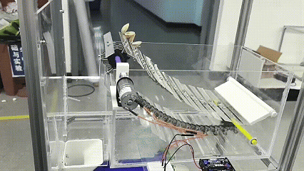 6.gif